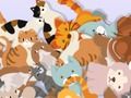 Spiel Finde die Kitty  Online
