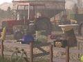 Spiel Schwindelfarm Online