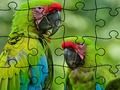Spiel Puzzle Regenwald  Online