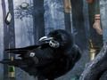 Spiel Gruseliges, gruseliges Haus  Online