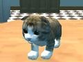Spiel Katzensimulator: Kitty Craft!  Online