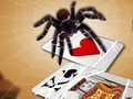 Spiel Springende Spinne  Online