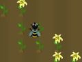 Spiel Nektar Ernte  Online