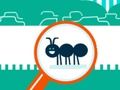 Spiel Squashy Wanze  Online