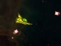 Spiel Kontrol Online