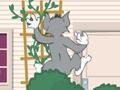 Spiel Tom und Jerry: Wasserbben Wahnsiinn Online