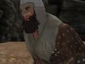 Spiel Wikinger  Online