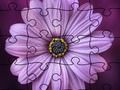 Spiel Puzzle Sommer  Online
