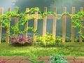 Spiel Gartengeheimnisse versteckte Buchstaben  Online