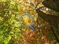 Spiel Versteckte goldene Sterne  Online