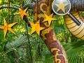 Spiel Dschungel versteckte Sterne  Online