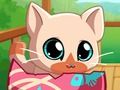 Spiel Meine Tasche Haustiere Kitty Cat  Online