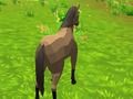 Spiel Pferdesimulator 3D  Online
