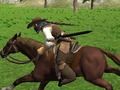 Spiel Reitensimulator  Online
