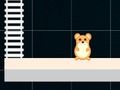 Spiel Kluger Hamster: Gerade und ungerade  Online