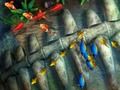Spiel Angelkönig  Online