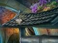 Spiel Kaltes Gold  Online