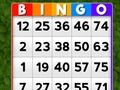 Spiel Bingo Online
