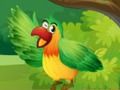 Spiel Finden Sie Vogelnamen  Online