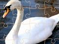 Spiel Schwan -Puzzle -Herausforderung Online