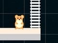 Spiel Intelligente Hamsterzeit  Online