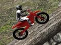 Spiel Waldfahrradversuche 2019 Online