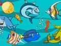 Spiel Fisch Unterschiede  Online