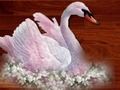 Spiel Liebes-Vogel-Puzzlespiel  Online