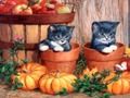 Spiel Halloween-Malerei  Online