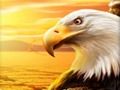 Spiel Adler  Online
