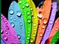 Spiel Farben und Designs  Online