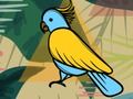 Spiel Färbung exotischer Vögel  Online