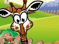 Spiel Tierformen  Online