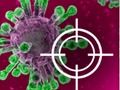 Spiel Zerstöre den Virus  Online