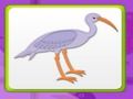 Spiel Kindergedächtnis mit Vögeln  Online