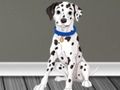 Spiel Tierarzt Flucht 2  Online