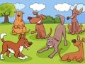 Spiel Tierunterschiede  Online