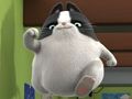 Spiel Agent Binky Haustiere des Universums Puzzles  Online