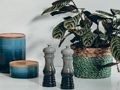 Spiel Finden Sie die Unterschiede Detective  Online