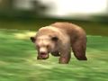Spiel Safari Tierjäger  Online