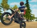 Spiel Dirt Bike Enduro Racing Online