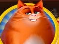 Spiel Kitty Scramble Online