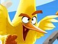 Spiel Angry Birds Puzzle-Sammlung Online Spiel Angry Birds Puzzle-Sammlung Online