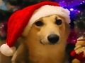 Spiel Lustige Weihnachtshunde  Online