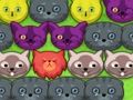 Spiel Pop-Pop-Kätzchen  Online
