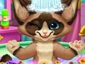 Spiel Kätzchenbad  Online