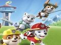 Spiel Paw Patrol Färbung  Online