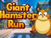 Spiel Riesenhamsterlauf  Online