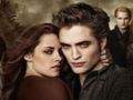 Spiel Twilight Jigsaw Puzzle Kollektion  Online