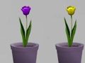 Spiel Doktor Linda Flucht  Online